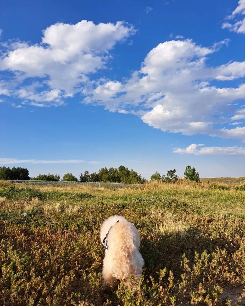 當地天氣很好！